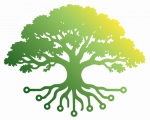 Belarbre logo